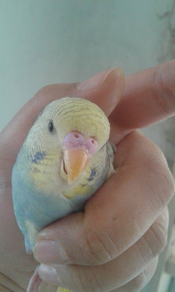 M o F